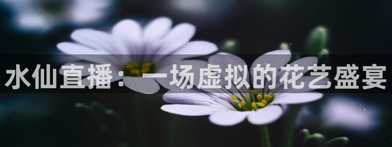 nba火凤直播：水仙直播：一场虚拟的花艺盛宴